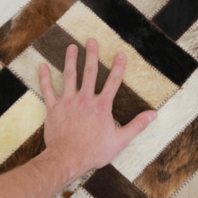 16541_17309987705235.jpg