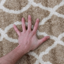 16715_16666177177679.png
