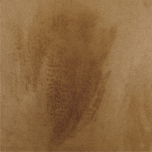 19800_16667001829579.png