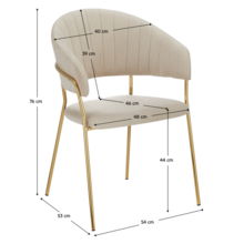 dasmin-typ-1-bezova-kotovanie-dod