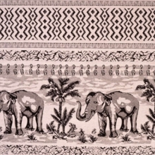 elefantos_szovet-8814